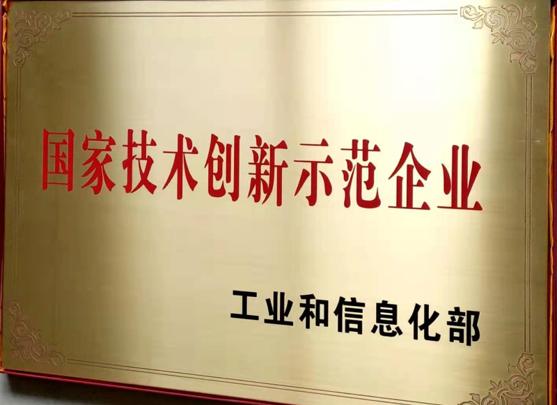 國家技術創新示范企業